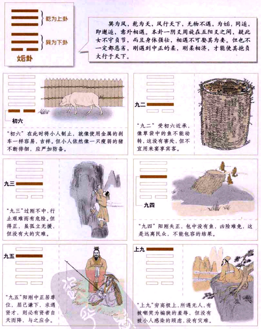 姤卦:邂逅小人,刚毅果断