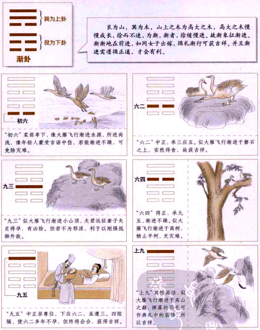 渐卦:循序渐进,动静自然