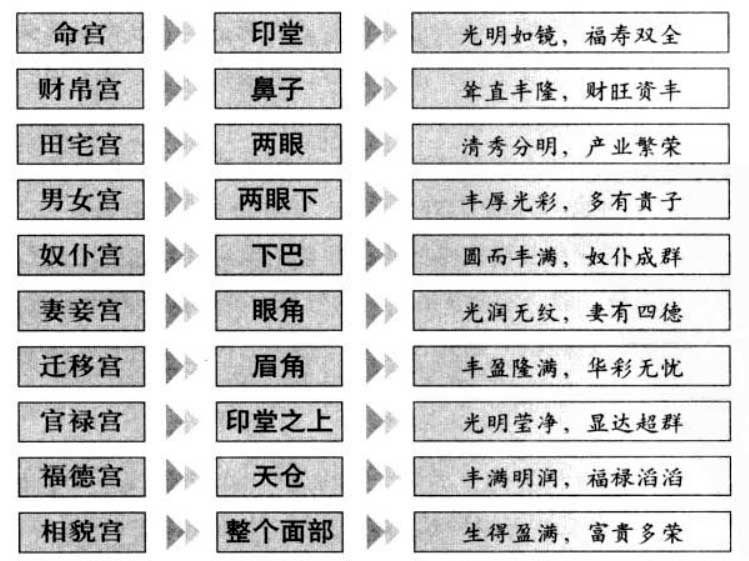 看面部十二宫,推人生百态