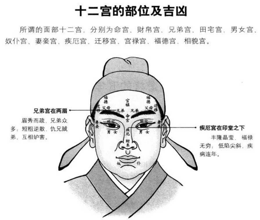 看面部十二宫,推人生百态
