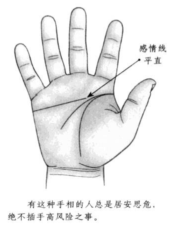 (2)感情线平直