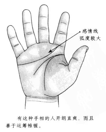 感情线弯曲较大的人