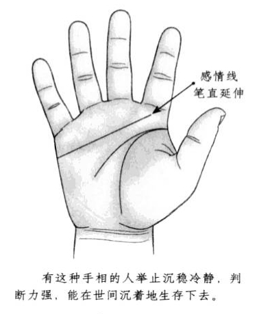 感情线平直,且向前方延伸
