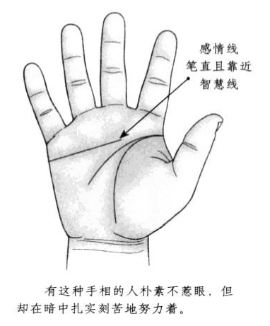 感情线平直,朝向中指下方延绅,且靠近智慧线