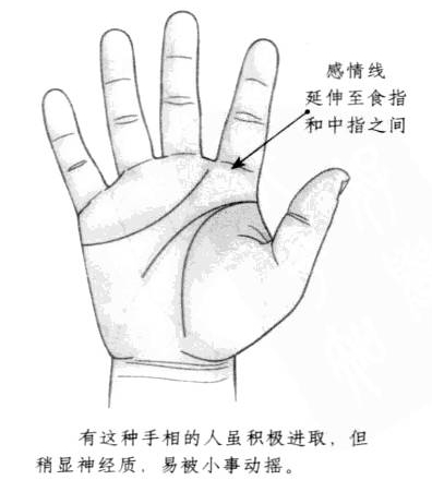 感情线弯曲延伸,到达食指和中指的下方部位