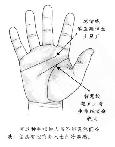 感情线笔直延伸至土星丘,智慧线形状笔直,而且和生命线交叠较大
