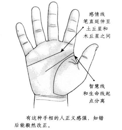 感情线笔直延伸至木星丘和土星丘之间,智慧线和生命线起点相互分离