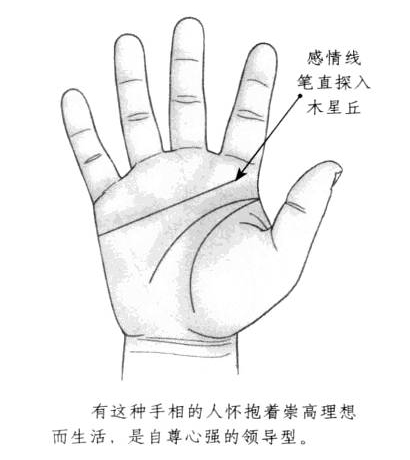 感情线形状笔直,且一直延伸至木星丘部位