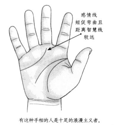 感情线短促,呈现弯曲状,且距离智慧线比较远