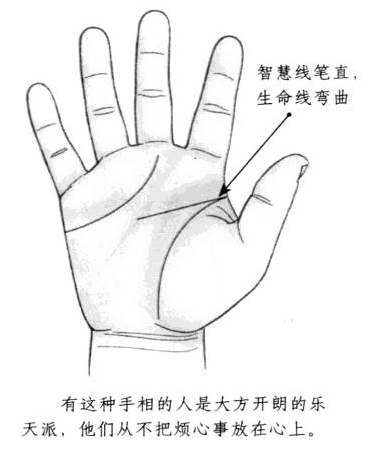 智慧线笔直,生命线弯曲