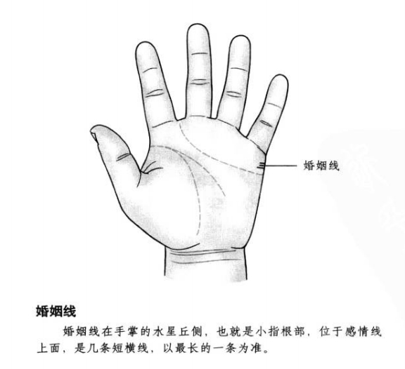没婚姻线代表什么?