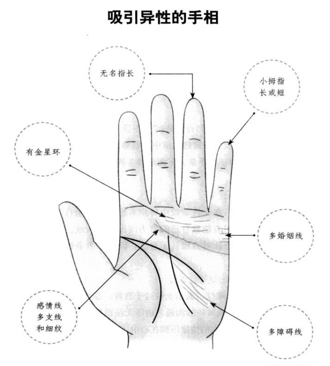 他是个花心大萝卜吗?