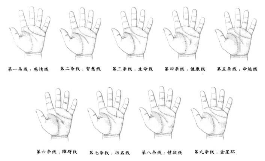掌纹诊病必看哪十四条线?